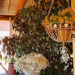  Bed & Breakfast La Vela Italia